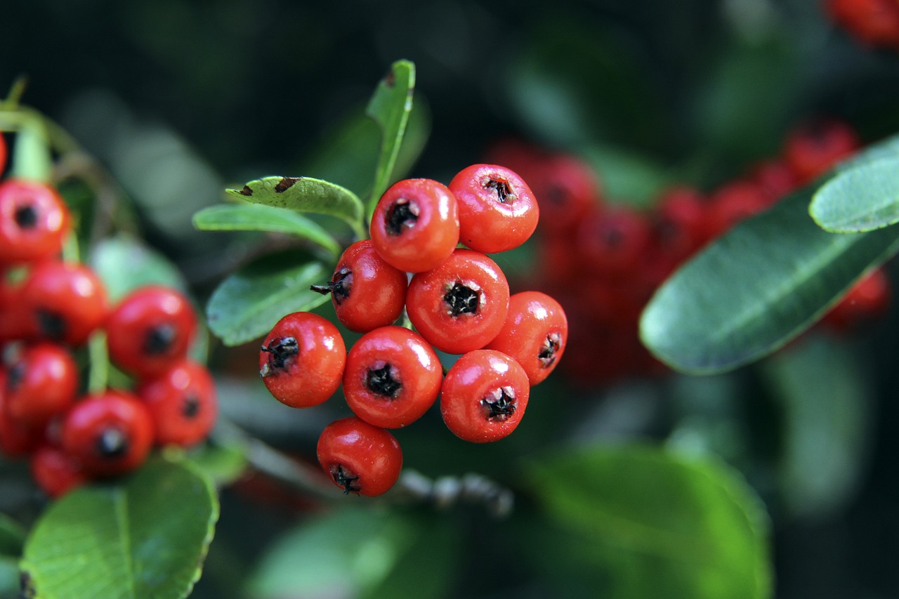 练强度和比 练强度和比