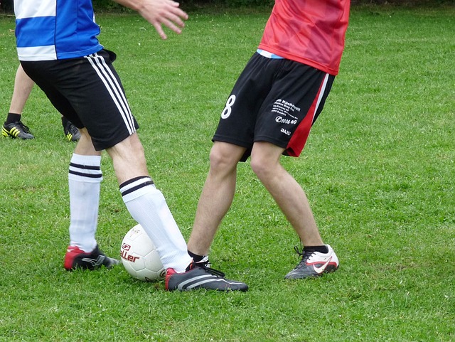 国内赛场具 国内赛场具