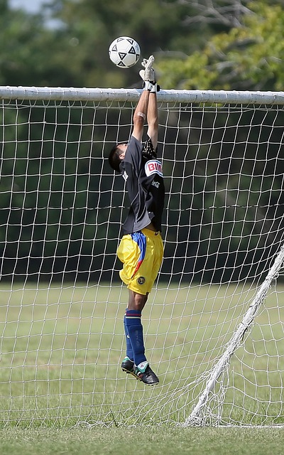 吴艳妮的胜 吴艳妮的胜